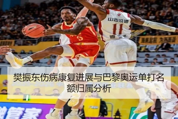 樊振东伤病康复进展与巴黎奥运单打名额归属分析