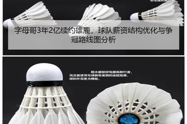 字母哥3年2亿续约雄鹿，球队薪资结构优化与争冠路线图分析