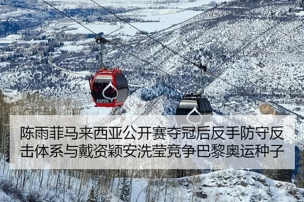 陈雨菲马来西亚公开赛夺冠后反手防守反击体系与戴资颖安洗莹竞争巴黎奥运种子